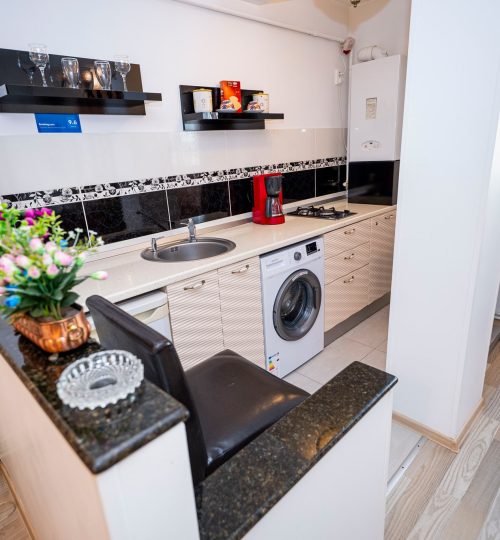 Studio Clasic, inchiriere apartament in regim Hotelier Galat